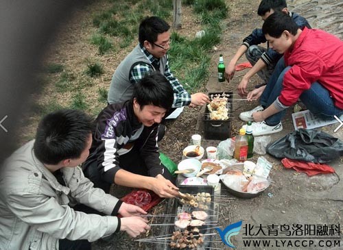 又是一年“烧烤季”洛阳北大青鸟2014年烧烤活动拉开序幕