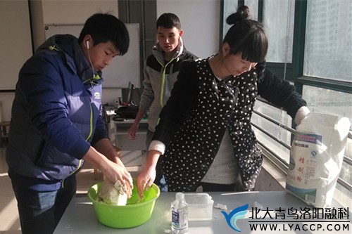 和面是个技术活儿，该加多少水，多少面粉呢？加水、加面粉，再加水，再加面粉……根本停不下来。-北大青鸟洛阳融科