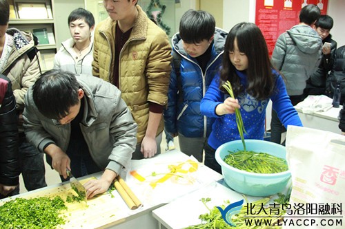 前期准备中，洗菜、摘菜、切菜。-北大青鸟洛阳融科