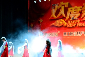 2015年文艺汇演：咨询管理部-舞蹈《圣洁的西藏》