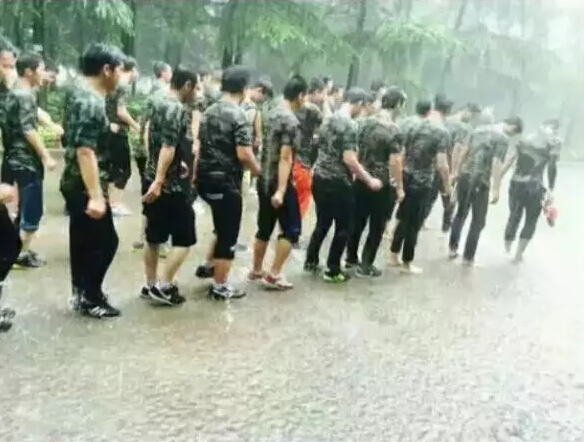 洛阳青鸟