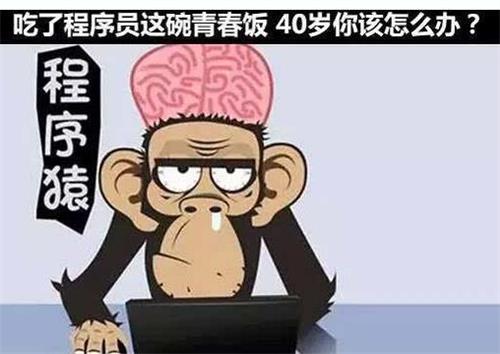 洛阳北大青鸟,软件开发,程序员培训